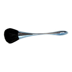 Brush Professional